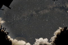 milky_20230917